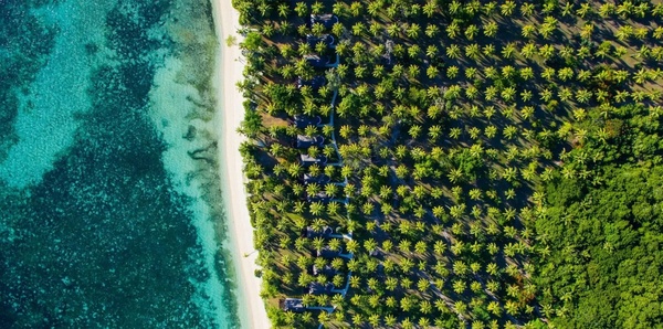 Romantic Fiji